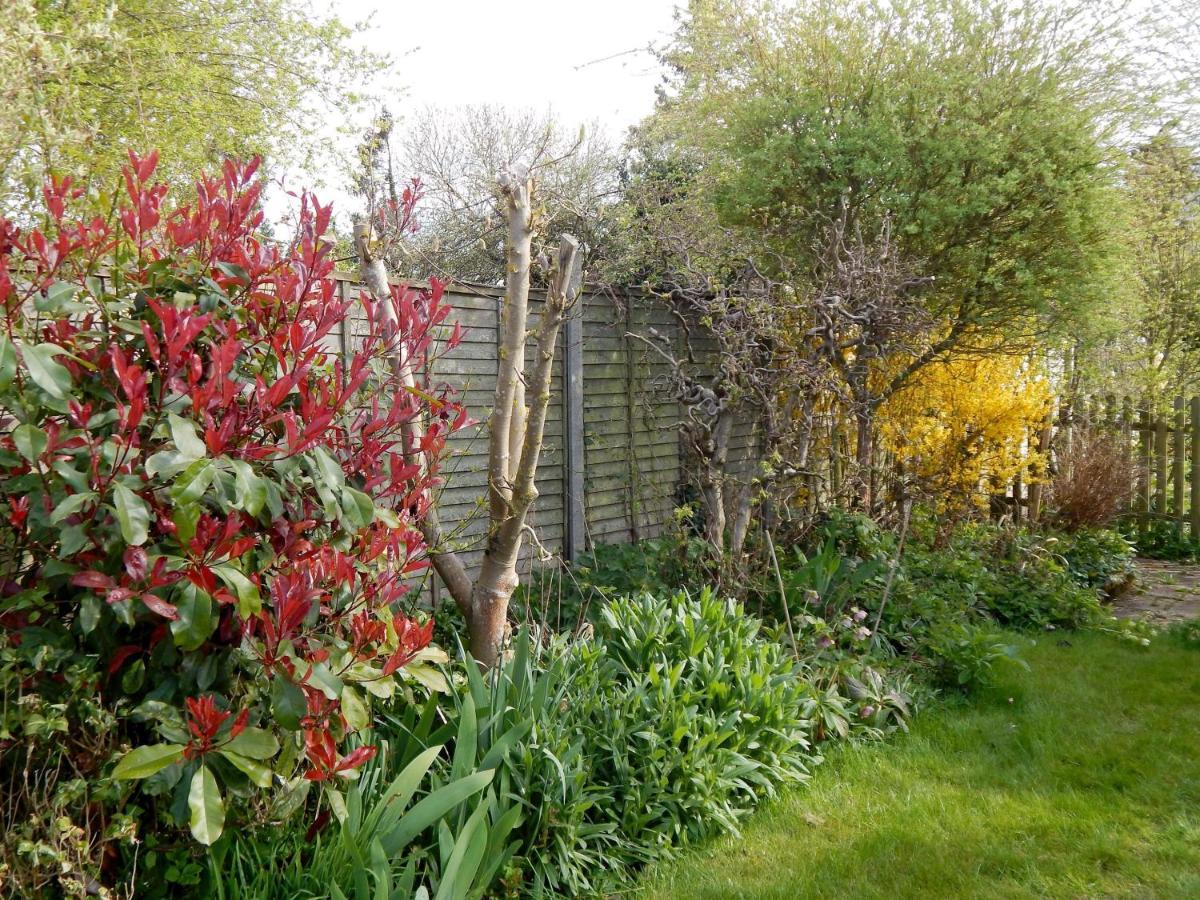 Luxurious 3 Bedroom House For Families, Corporate With Gardens And Parking Apartamento Cambridge